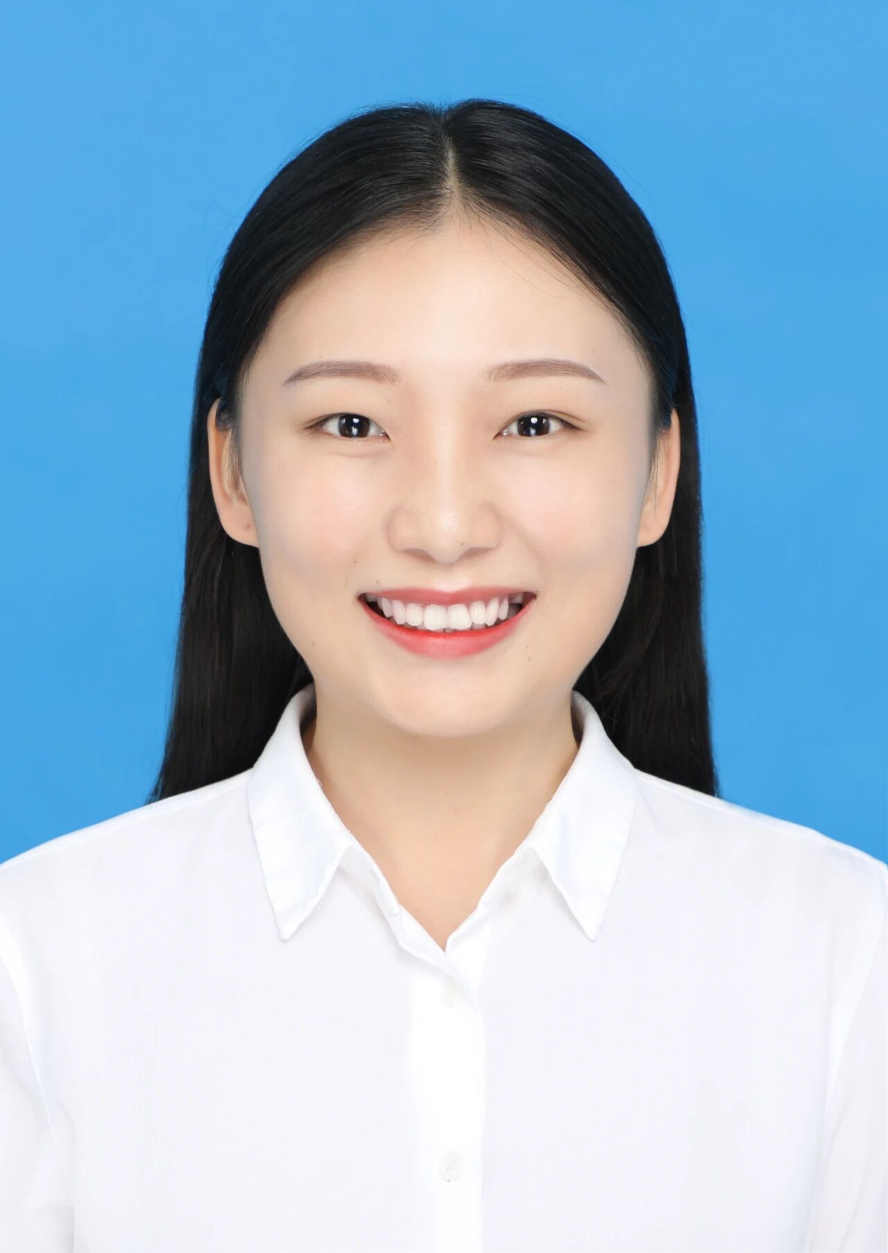 杨柳新